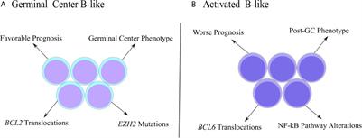 Clinical and <mark class="highlighted">Molecular Properties</mark> of Human Immunodeficiency Virus-Related Diffuse Large B-Cell Lymphoma